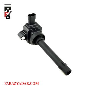 کوئل دانگ فنگ دیگنیتی